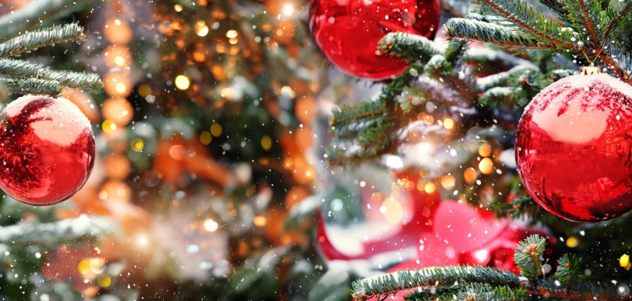 christmas and new year holidays concept. Red balls on fir branch